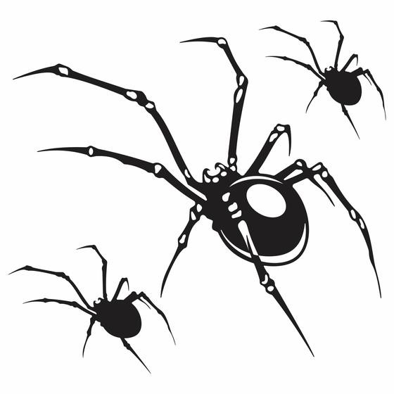 Kit 3 Adesivo Aranha Preta Para Carro Moto E Bicicleta - Resitank