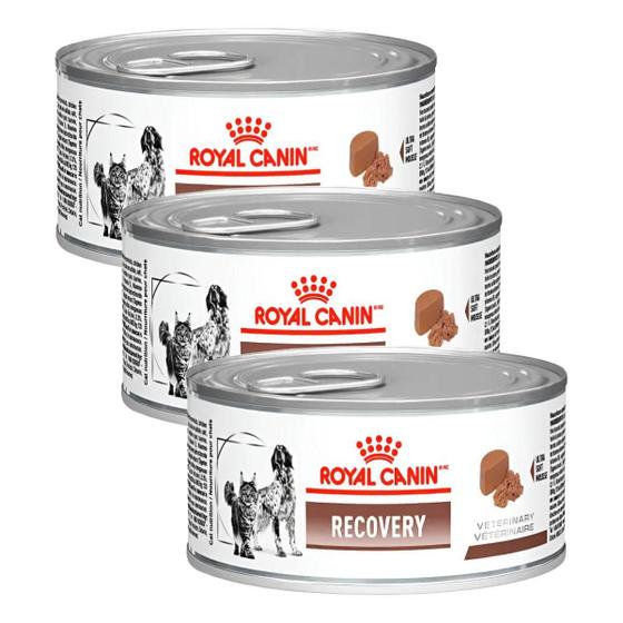 Kit 3 Ração Úmida Royal Canin Recovery Lata Cães E Gato 195g